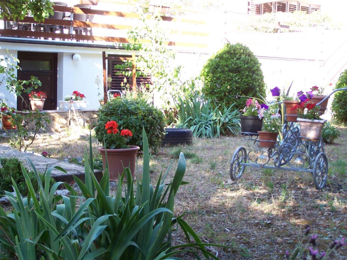 Apartments Sestan Novalja Dış mekan fotoğraf